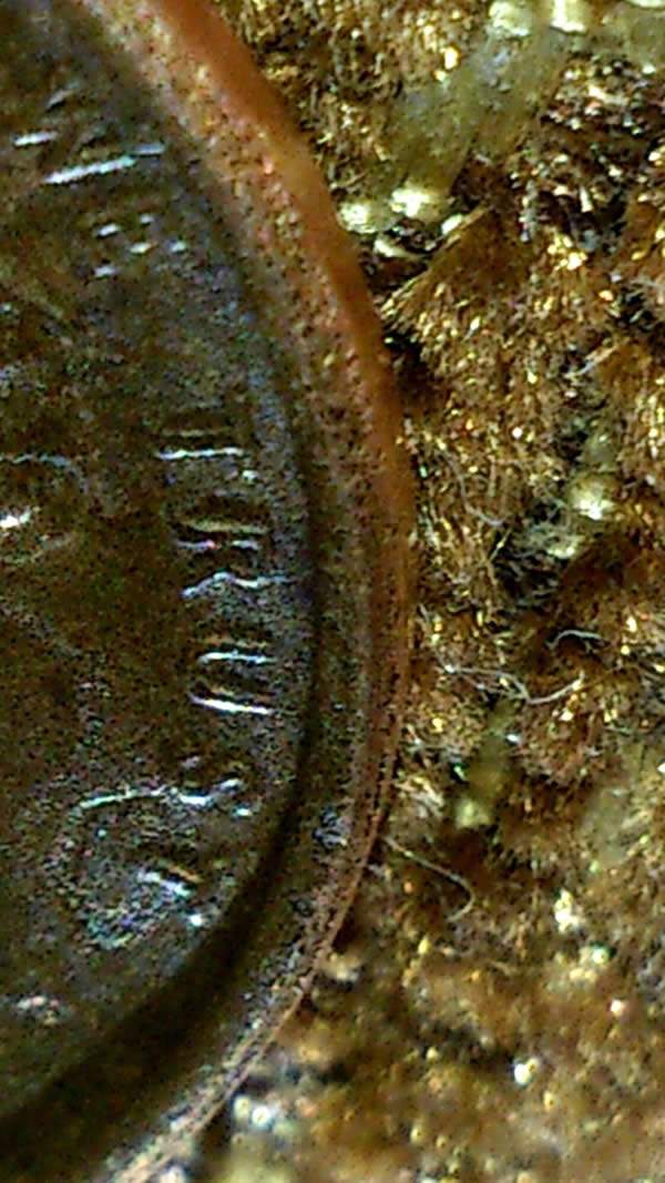 1969-S-Penny-Double-Die-Help