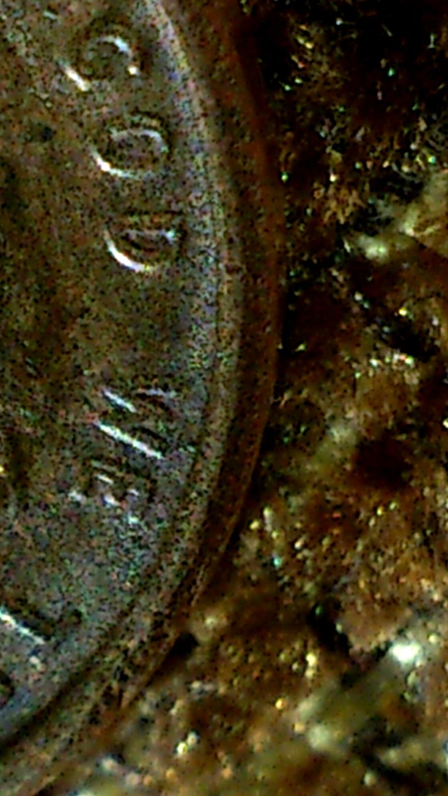 One-Cent-1969-S-Double-Die
