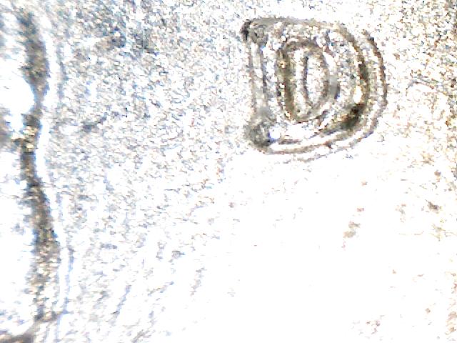 2006-MD?-Mint-Mark