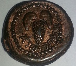 Unidentified-Coin---Palm-Tree/Grapes?