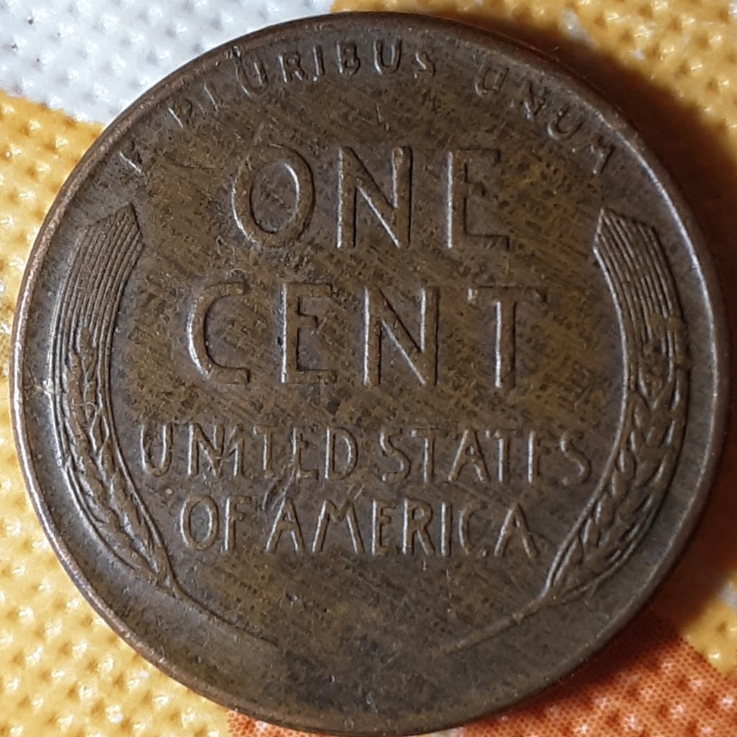 1956-D-Wheat-Penny-Reverse-Is-Woody-But-Opinion-On-The-Obverse?
