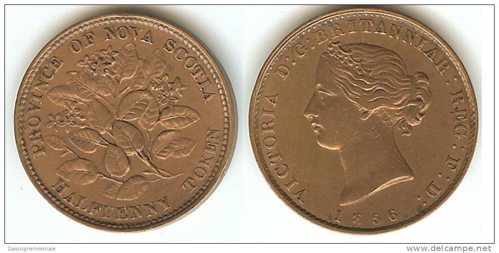Is-This-Good?-Nova-Scotia-1856-Halfpenny