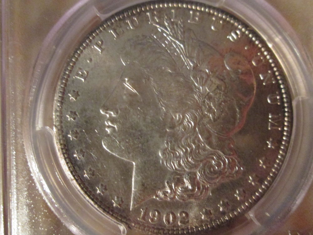 1902-S-VAM-Opinion-Please