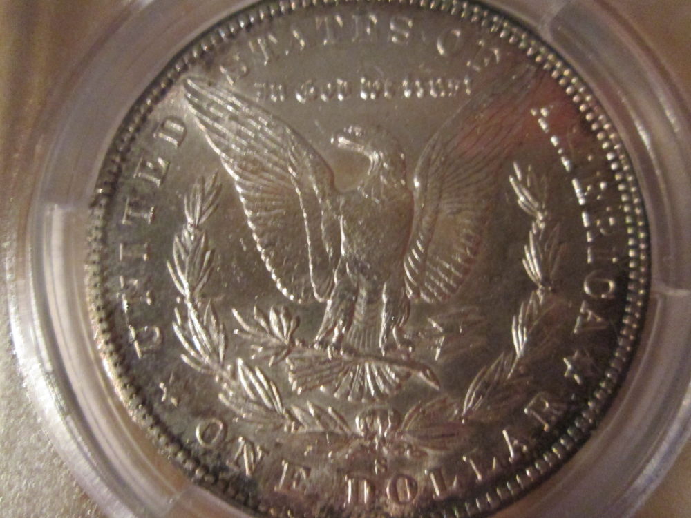1902-S-VAM-Opinion-Please