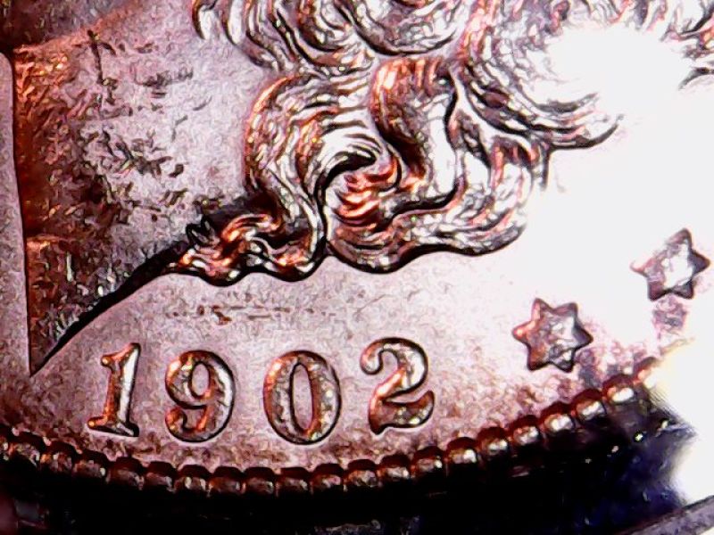 1902-S-VAM-Opinion-Please