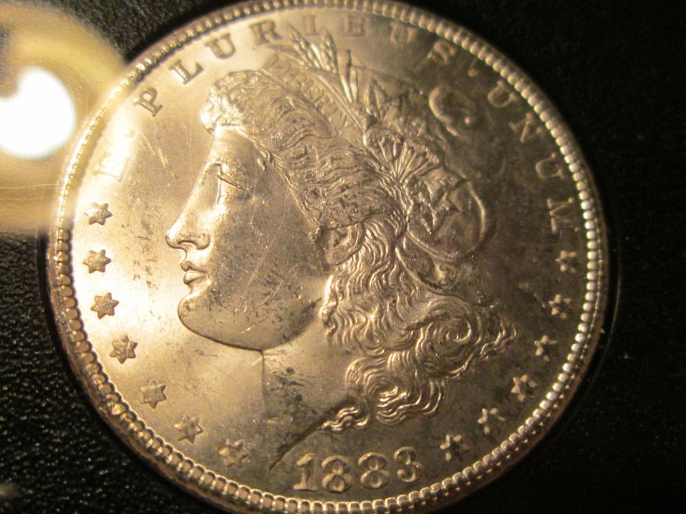 Two-1883-GSA-CC's-For-Grading