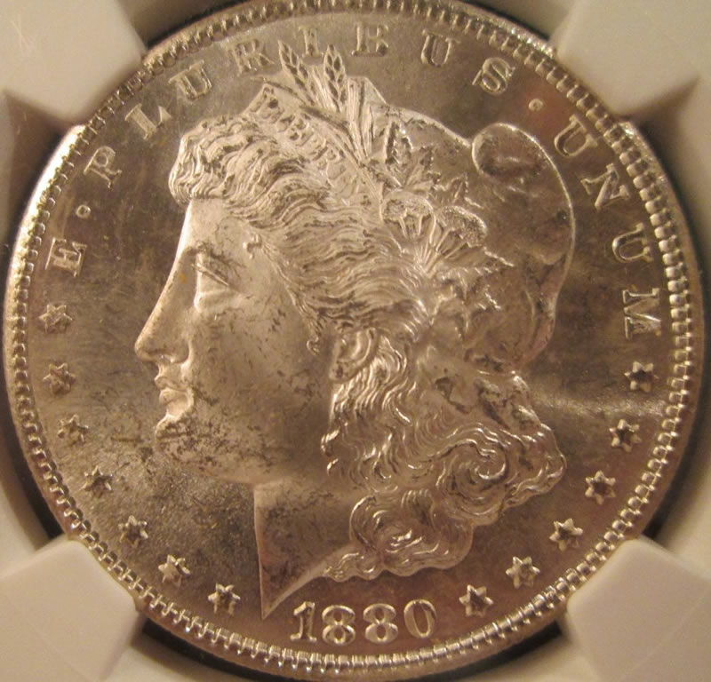 1880-S-Opinions-Please
