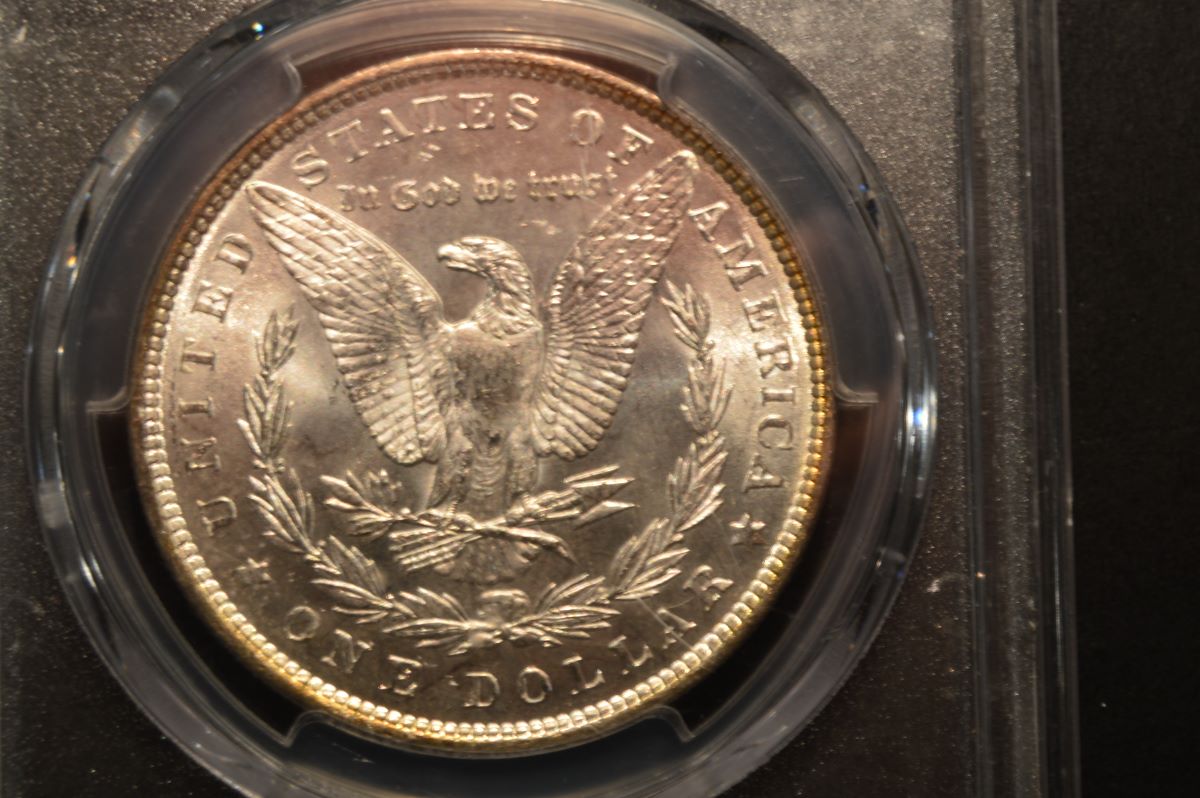 1886-P-Morgan-Opinion