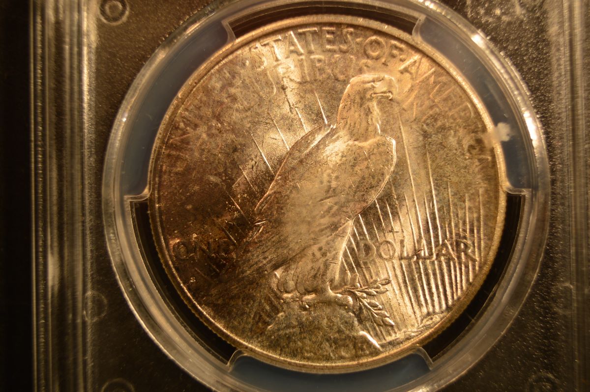 1925-S-Peace-Dollar-Grade-Opinion