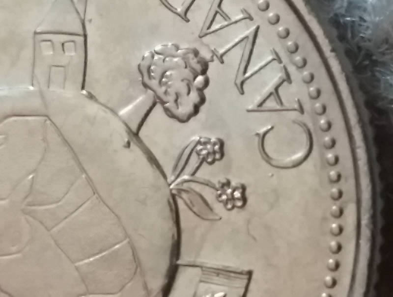 What-Do-You-Think-Of-This-2000-December-Quarter