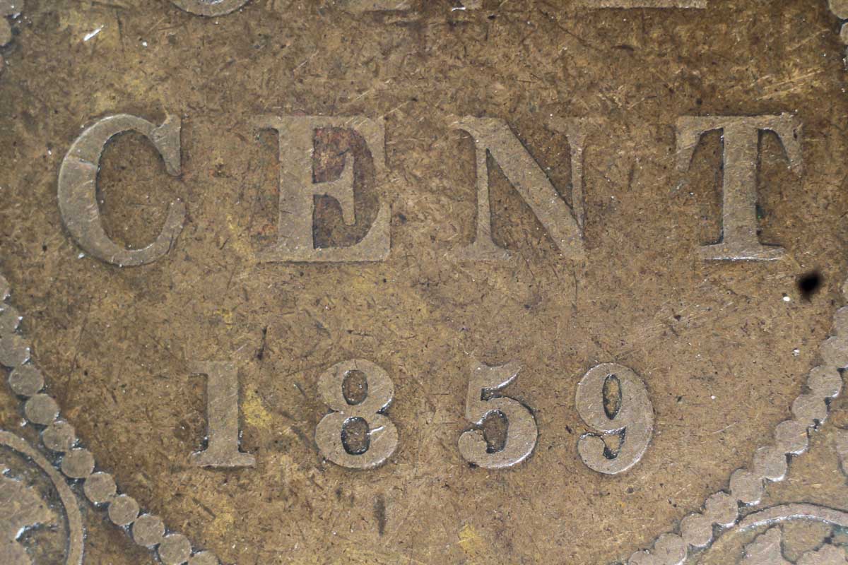 1859-Canada-1-Cent---So-Many-Varieties---Who-Knew-.-.-.-.