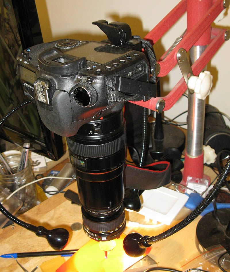 New-Toy---28mm-Lens-Reverse-Mounted-On-Canon-100mm-Macro