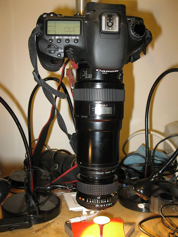 New-Toy---28mm-Lens-Reverse-Mounted-On-Canon-100mm-Macro