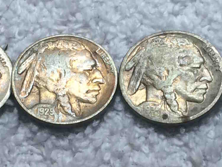 Big-Cache-Of-Buffalo-Nickels-Found