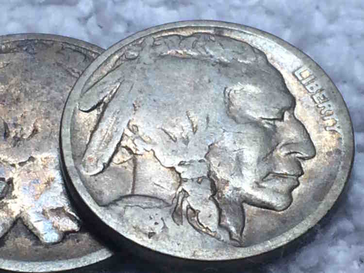 Big-Cache-Of-Buffalo-Nickels-Found