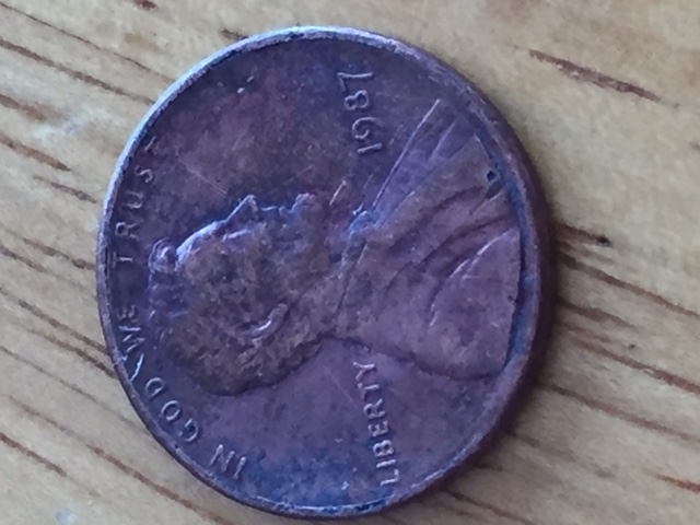 Novice-Collector,-Mintmark-Question