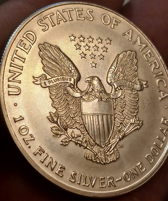 Silver-Eagle-2000-Dent-On-T