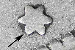 VAM?--Can-You-Identify?