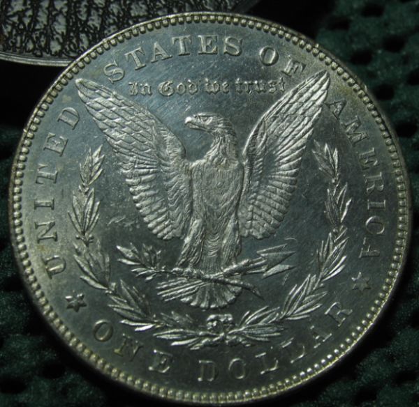 28-Days-Of-Morgans