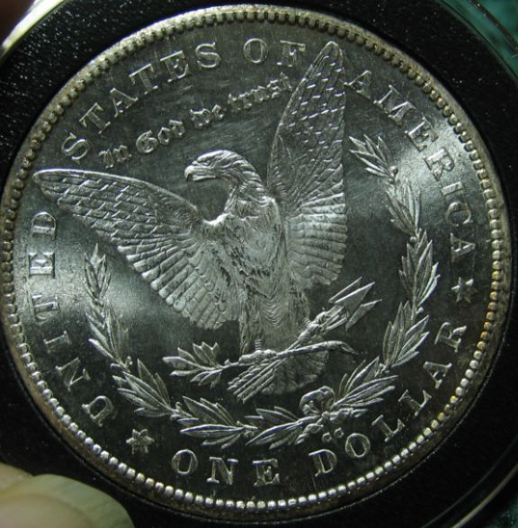 28-Days-Of-Morgans