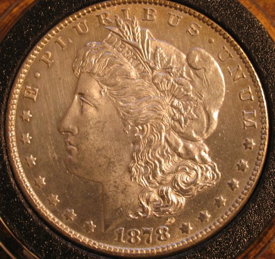 VAM41c-Bearded-Lady