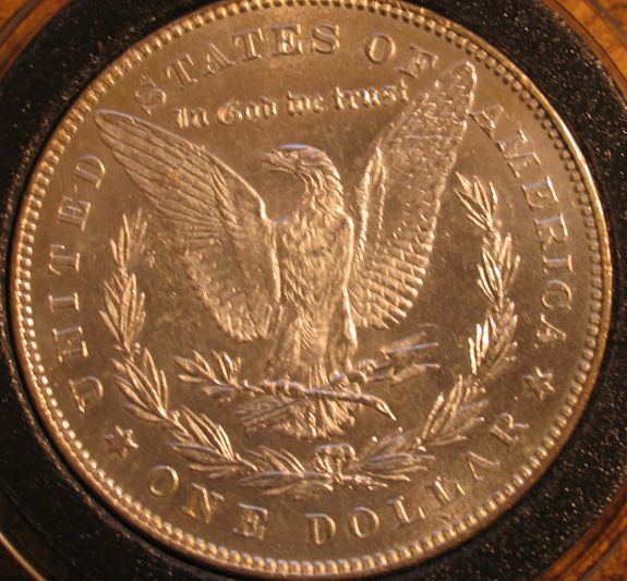 VAM41c-Bearded-Lady