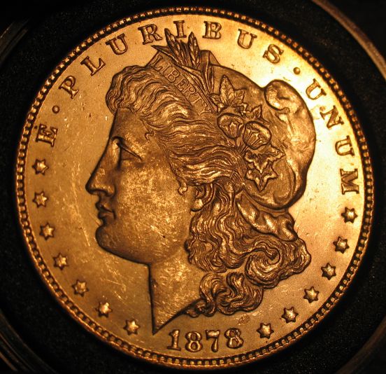 VAM41c-Bearded-Lady