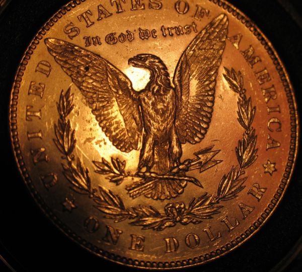 VAM41c-Bearded-Lady