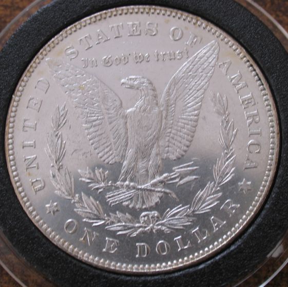 VAM41c-Bearded-Lady