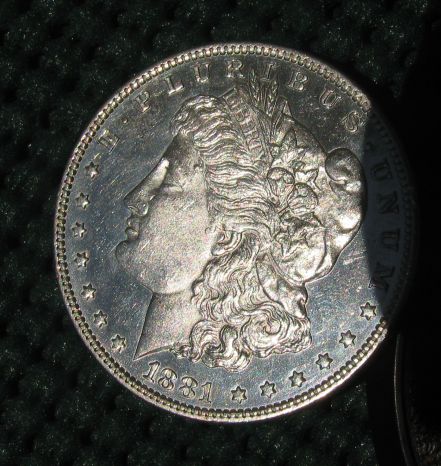 1881-0-Delight!