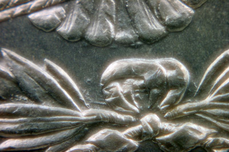 Close-Up-Coin-Pictures