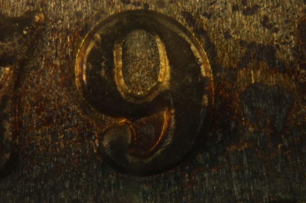 Canon-T1i-&-Bellows-GSA-Dollars