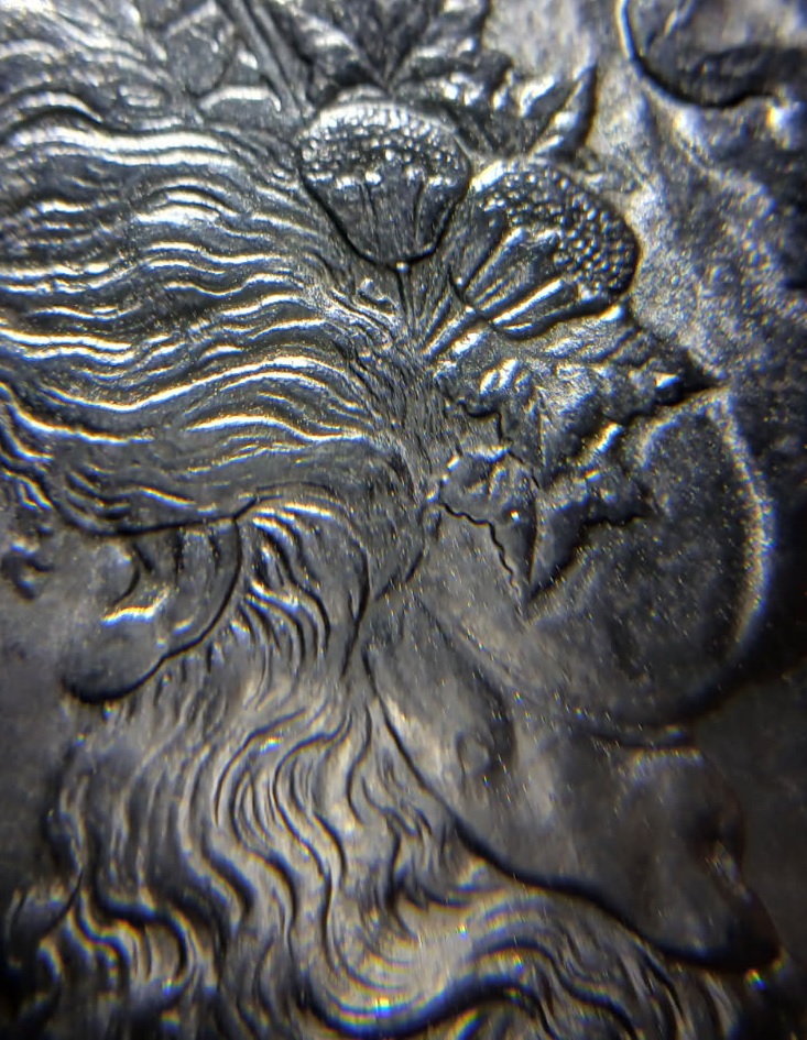 1881-S-Morgan-Dollar:-Heavy-Die-Chips-On-Date-&-Stars-/-Light-Doubling-To-Some-Stars/Letters