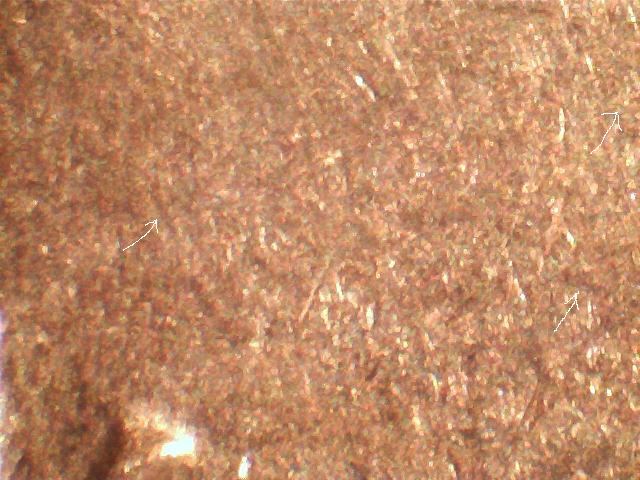 1981-D-1-DO-001