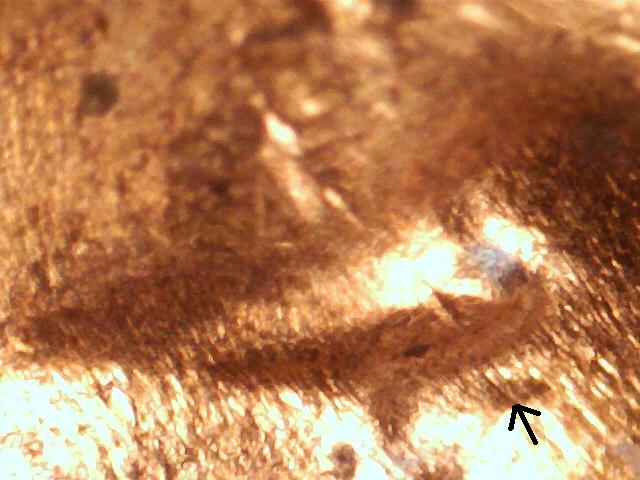 1956-D-Wheat-Penny-DDO-Or-Just-MD