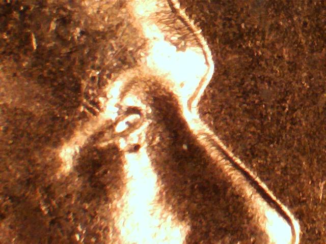 1956-D-Wheat-Weird-Eye