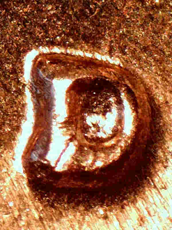 1962-D-1MM-003?