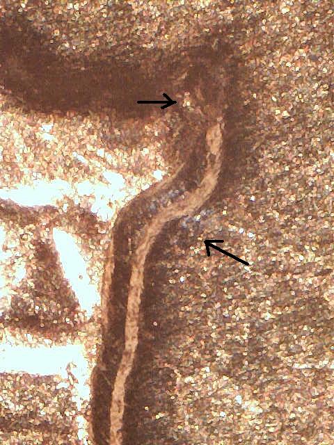 1962-D-1MM-003?