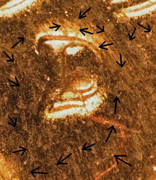 Wheat-Penny-Cracked-D