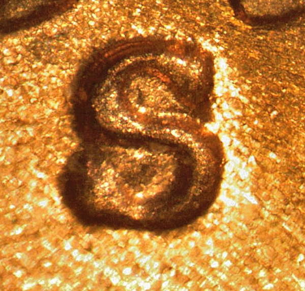 1953-S-1MM-?-Coop-You-Took-CC-Photos-Any-Thoughts!
