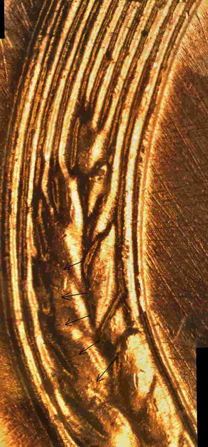 1958-D-1MM-007-Lincoln-Daniel's-Coin