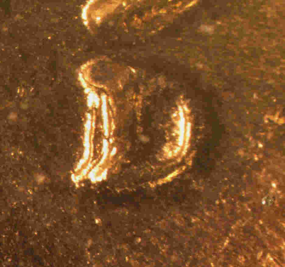 1953-D-1MM-001--Fs#:-1c-021.73
