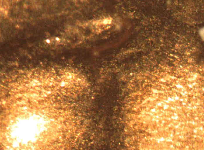 1956-D-1-DO-003?-LWC-500th-Post