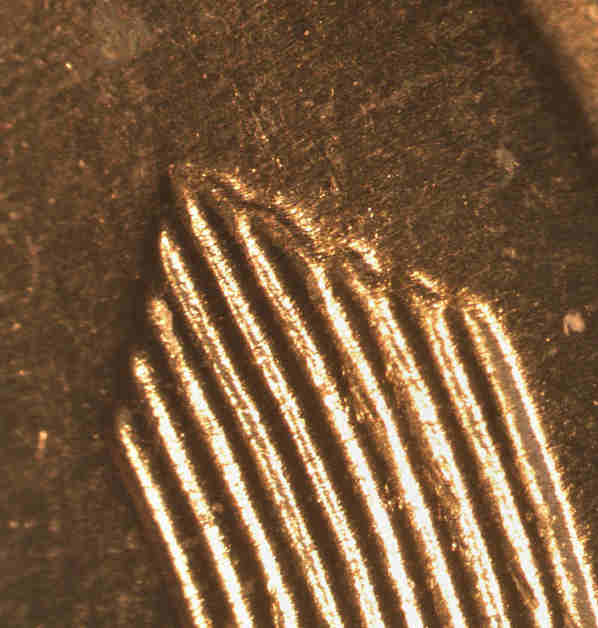 1956-D-1MM-004-D/D-Northeast-MDS