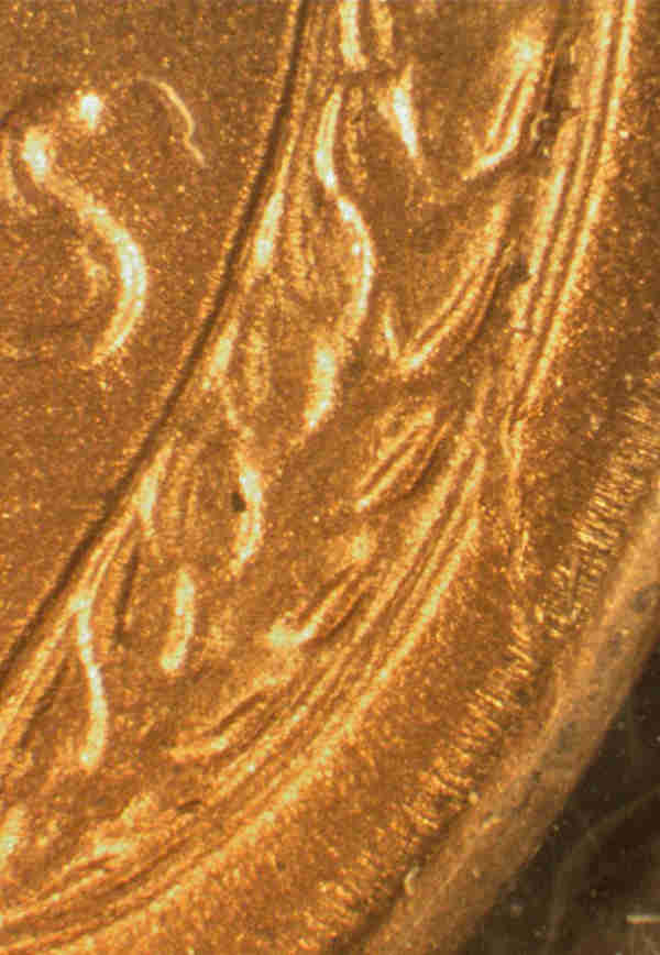 Another-Sweet-Wheat-1953-S-1MM-002--WRPM-001