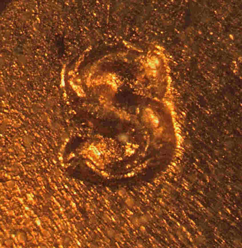 Another-Coin-Shop-Cherry-1947-S-1MM-002