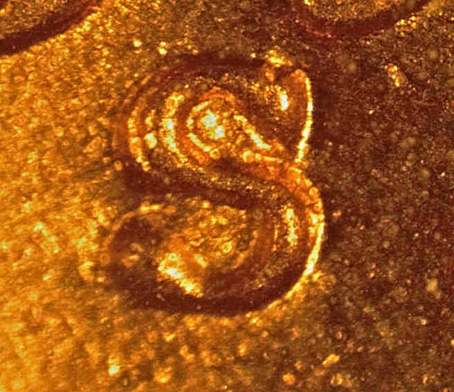 1953-S-LWC-Just-An-RPM-Or-Double-Die-Also