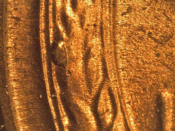 1954-S-1MM-001-LWC-LMDS