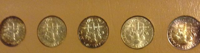 Toned-Roosevelt-Silver-Short-Set