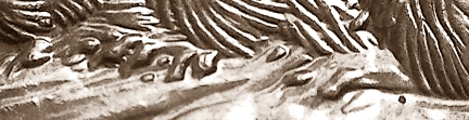 1965-5-Cents-Extra-Claw?
